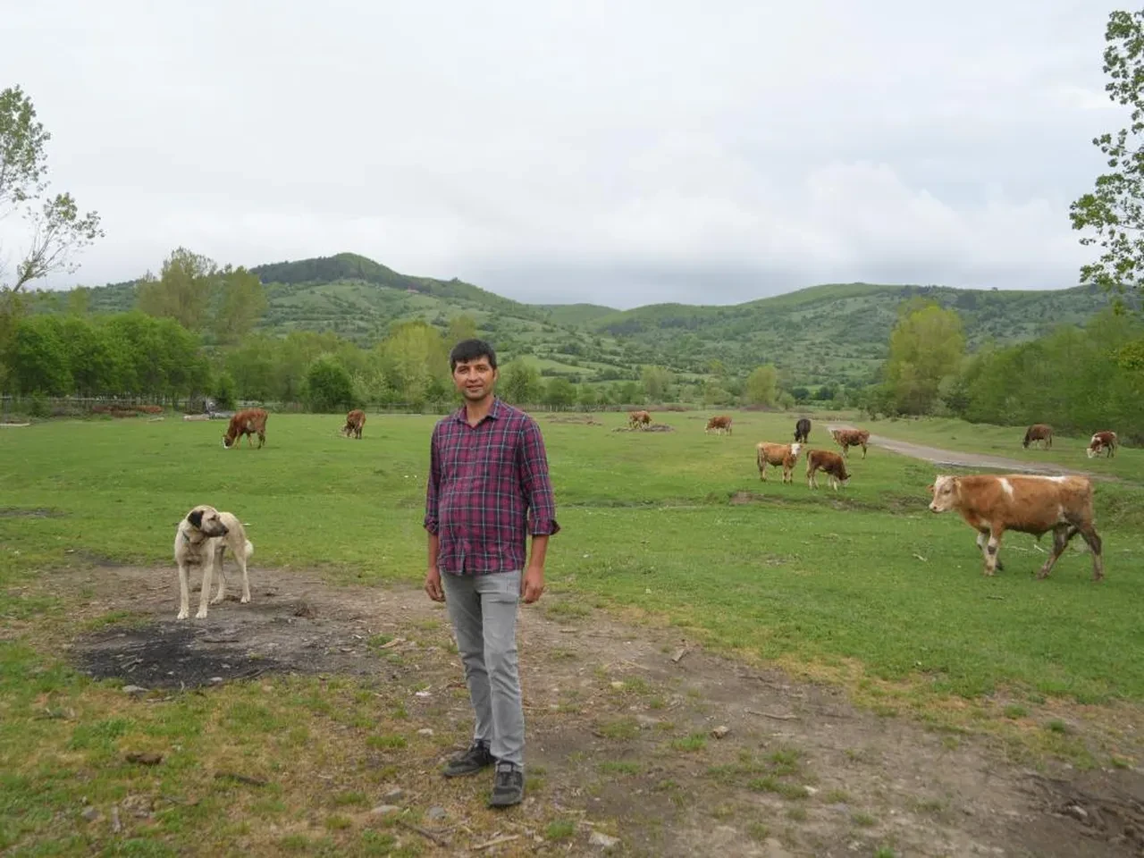 Şehirden bıktı, köyüne döndü! "İnsanlardansa hayvanları tercih ederim"