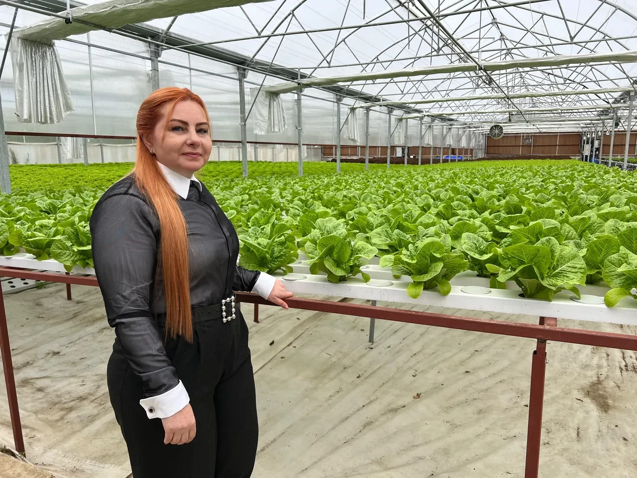 ABD'de öğrendi, Trabzon'a taşıdı! Her şey 6 yıl önce başlamıştı: Şimdi paraya para demiyor