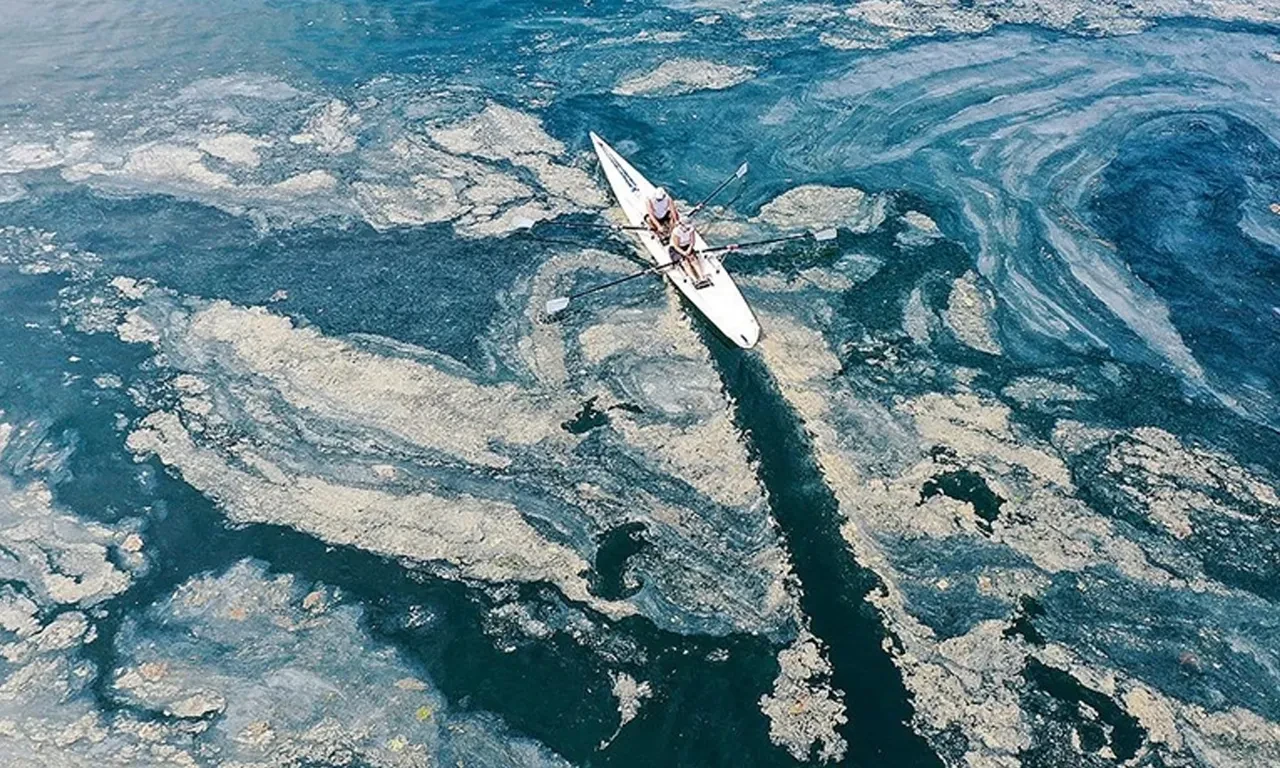 Bakan Kurum'dan belediyelere müsilaj uyarısı
