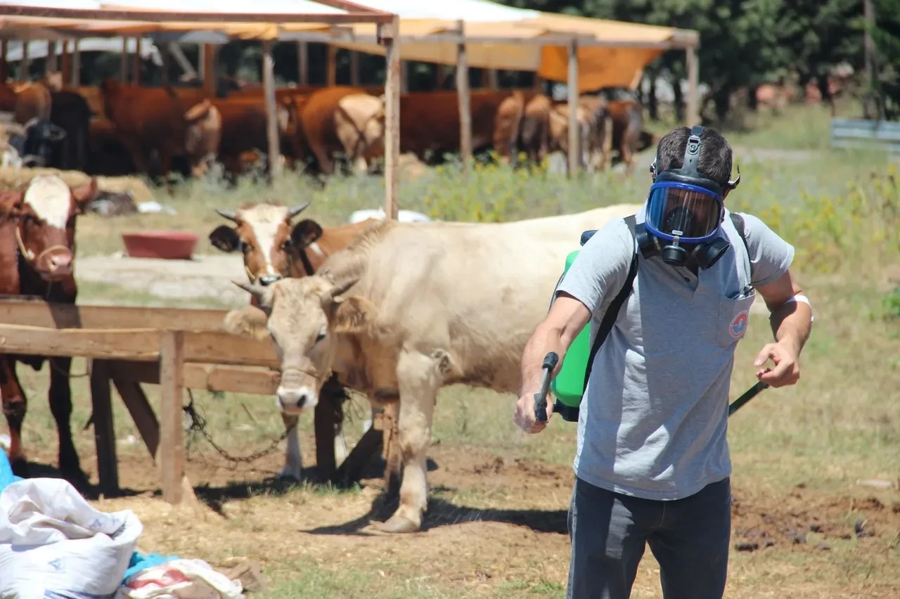 Bakanlık açıkladı! İşte Kurban Bayramı'nda alınacak sıkı tedbirler 