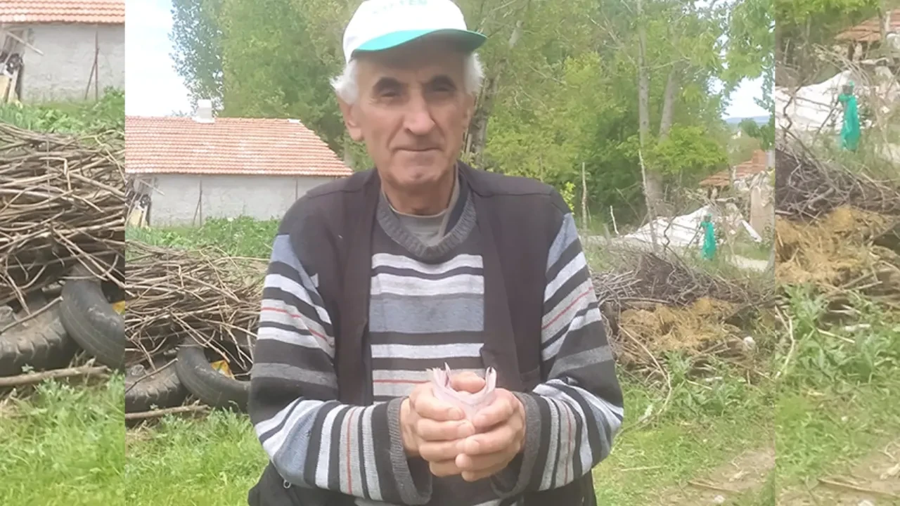 Emekli işçiden örnek davranış! Yolda bulduğu parayı jandarmaya teslim etti
