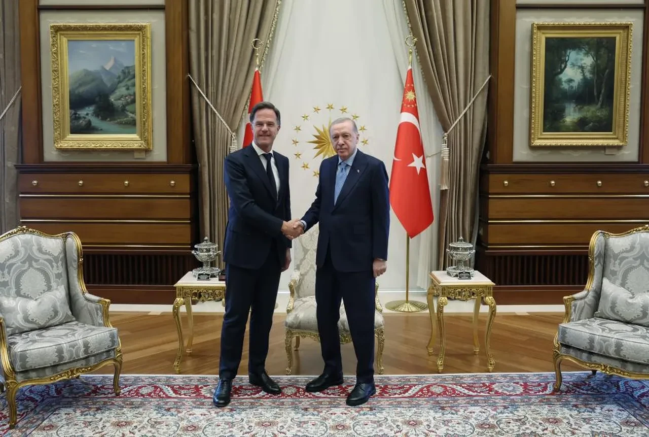 Erdoğan, NATO Genel Sekreteri Rutte'yi kabul etti