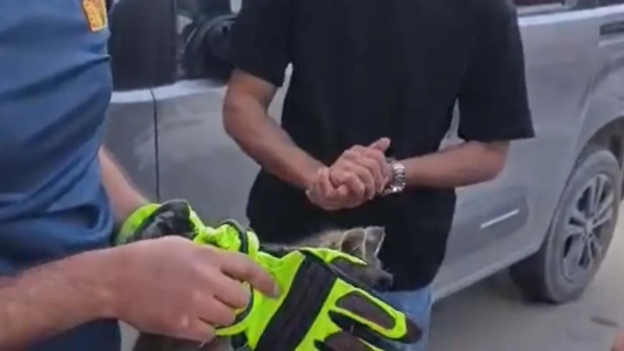 Kedinin 'miyavı' itfaiyeyi harekete geçirdi! Yavru kedi böyle kurtarıldı