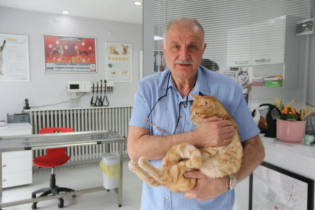 Kedisini veterinere yetiştirmeye çalışırken ceza yedi, soluğu mahkemede aldı