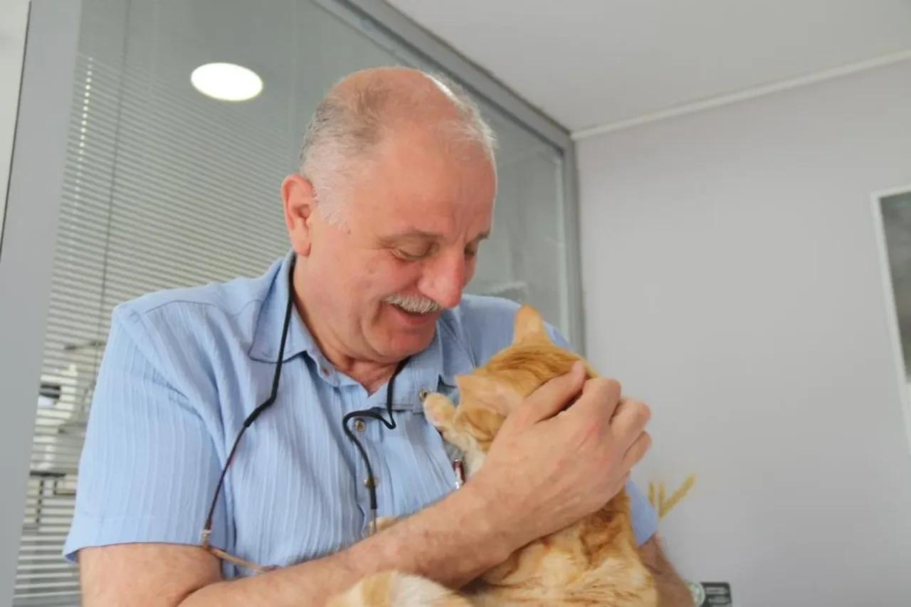Kedisini veterinere yetiştirmeye çalışırken ceza yedi, soluğu mahkemede aldı