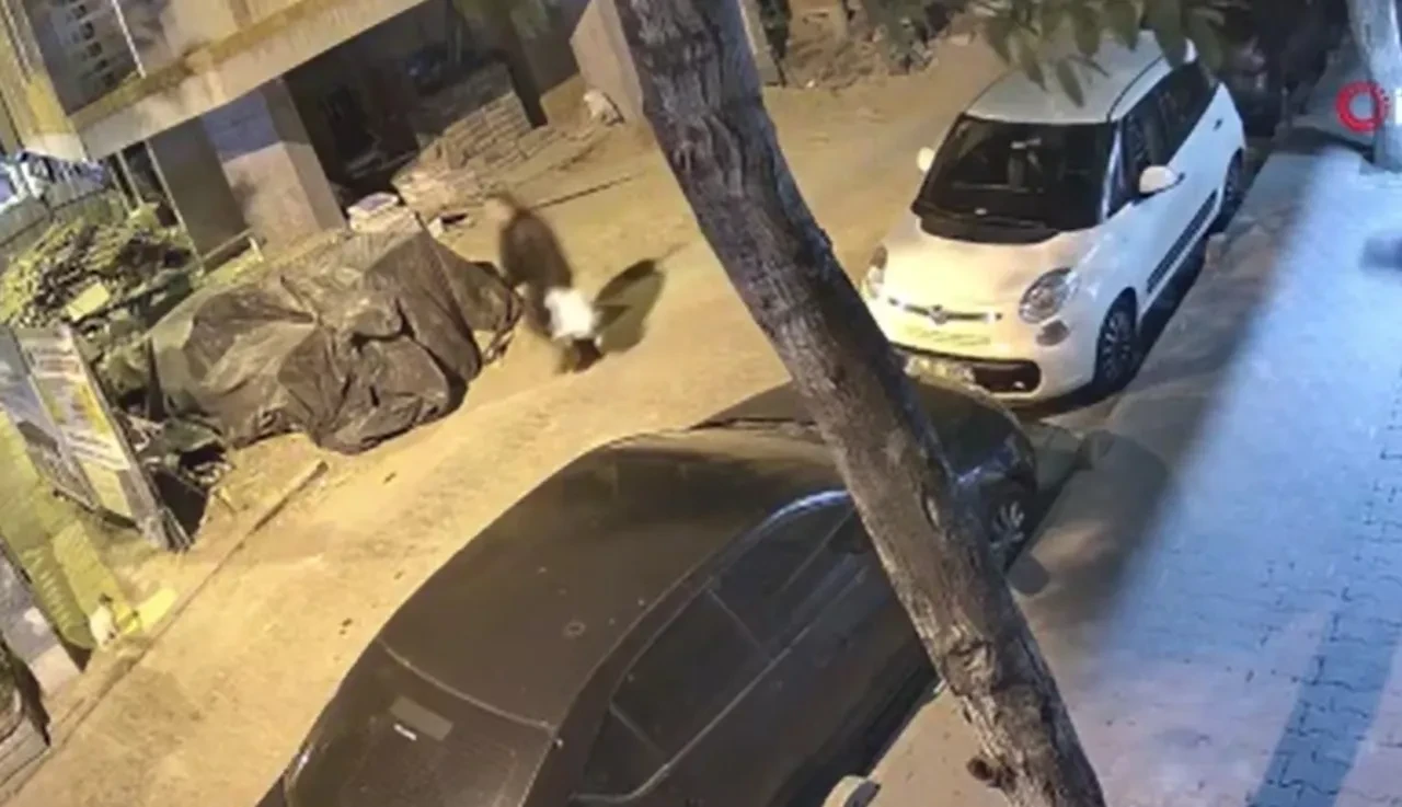 Kocasını sokağa çağırdı, 20 yıllık sevgilisi vurdu: Kanlı plan deşifre oldu!