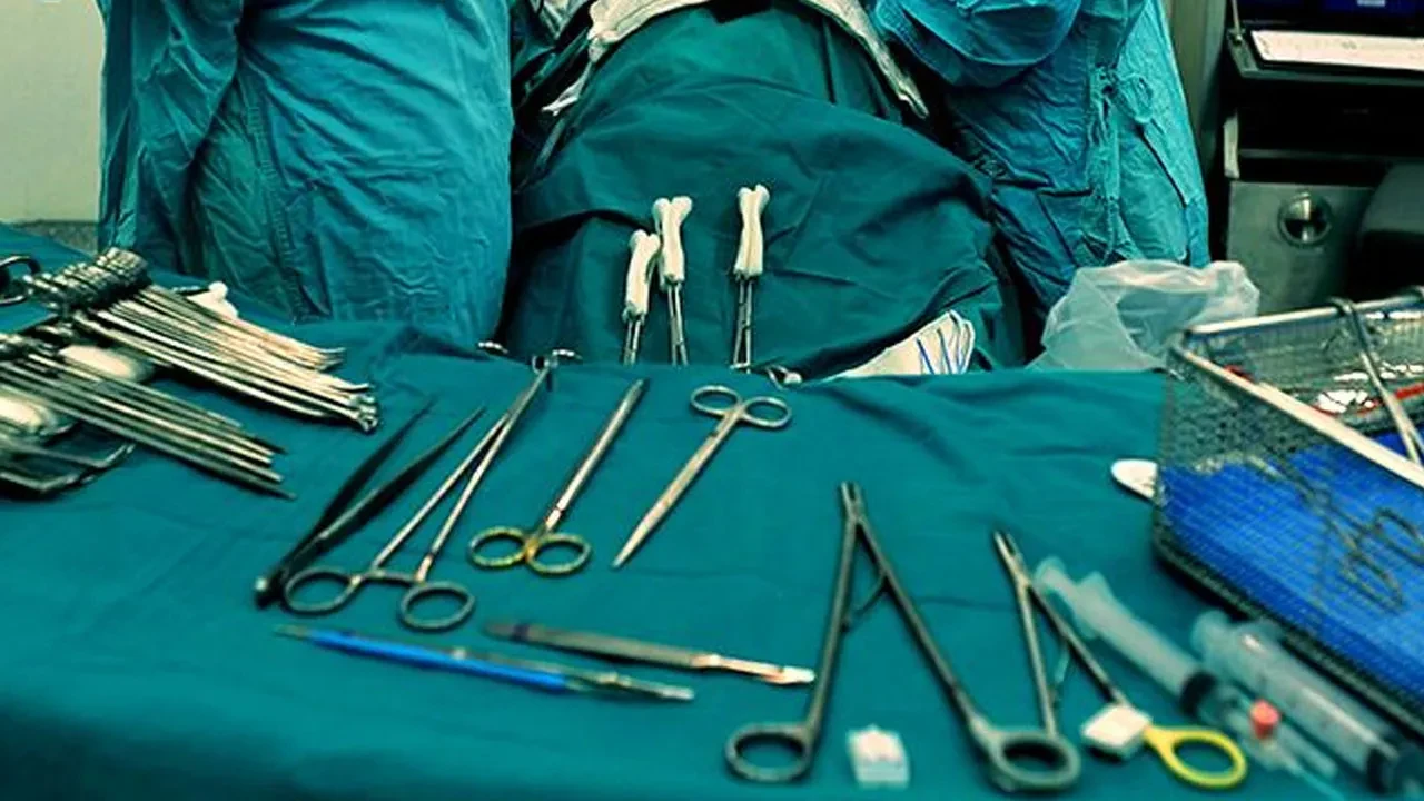 Bıçak parası aldığı iddia edilerek gözaltına alınan ADÜ'lü profesör ve sekreteri serbest