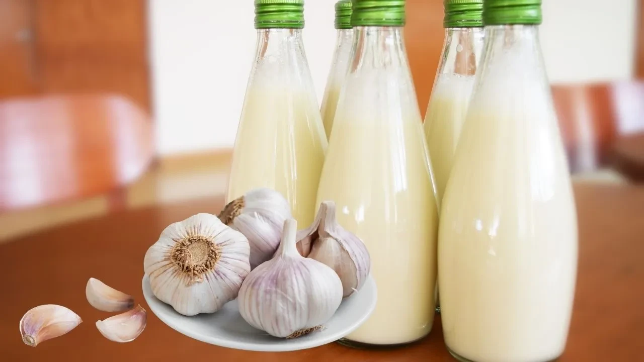 Büyüklerimizin vazgeçilmezi: Sarımsaklı süt! Boşuna önermiyorlarmış
