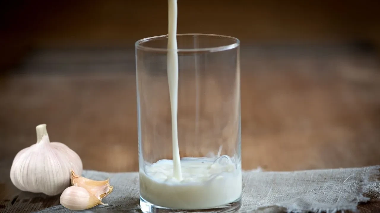 Büyüklerimizin vazgeçilmezi: Sarımsaklı süt! Boşuna önermiyorlarmış