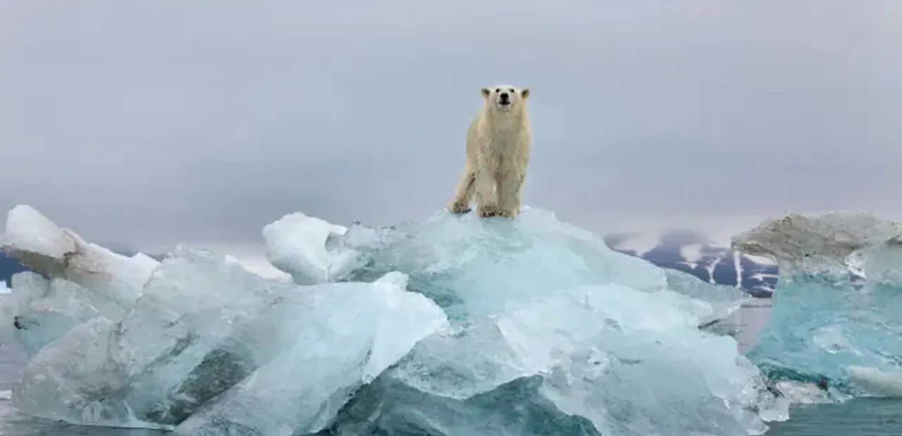 Buzullar eriyor okyanusun rengi değişiyor! Bilim insanları alarma geçti
