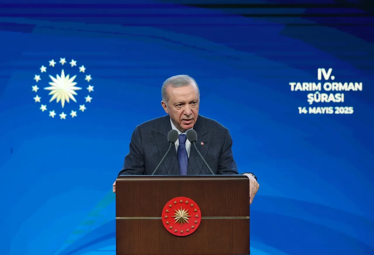 Cumhurbaşkanı Erdoğan duyurdu! Yeni destek ve programlar geliyor