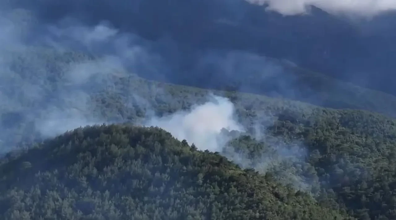 Hatay'da orman yangını paniği: Ekipler seferber oldu!