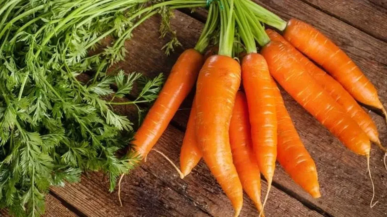 Havuç Adet Söktürür mü, İyi Gelir mi? Havuç Adet Söktürücü Olarak Kullanılır mı?