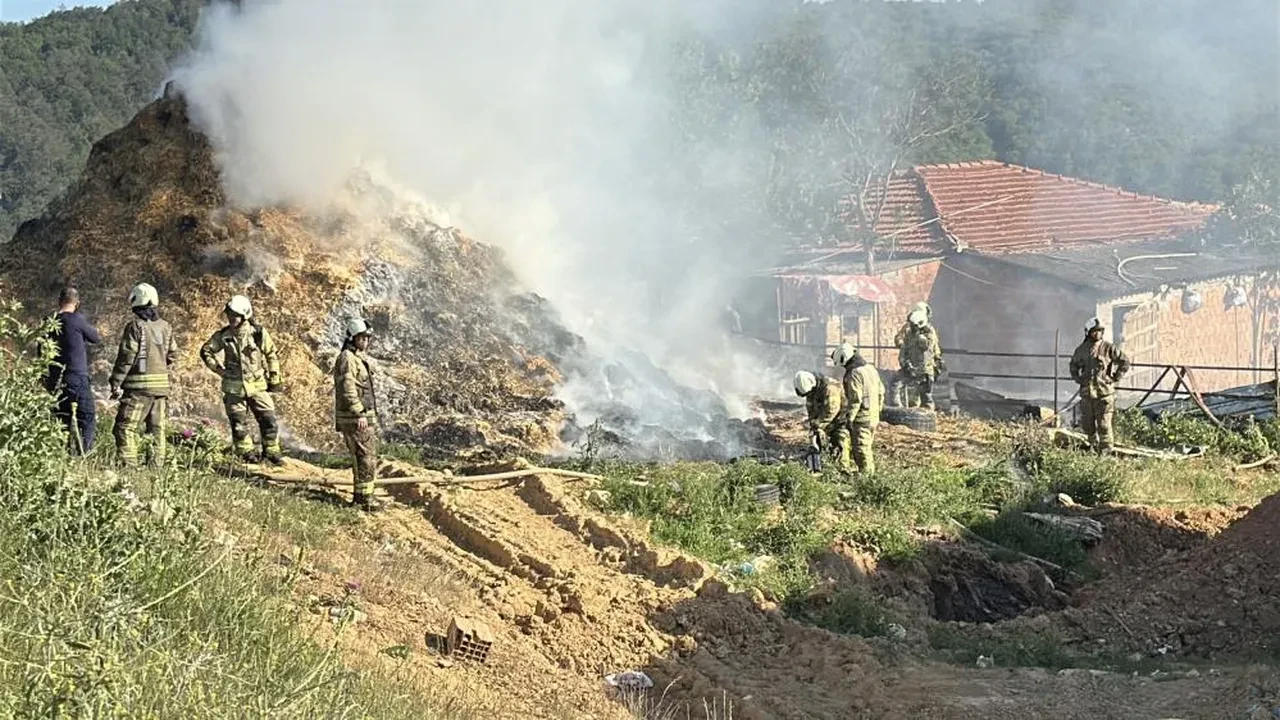 İstanbul'da saman balyaları alev alev yandı