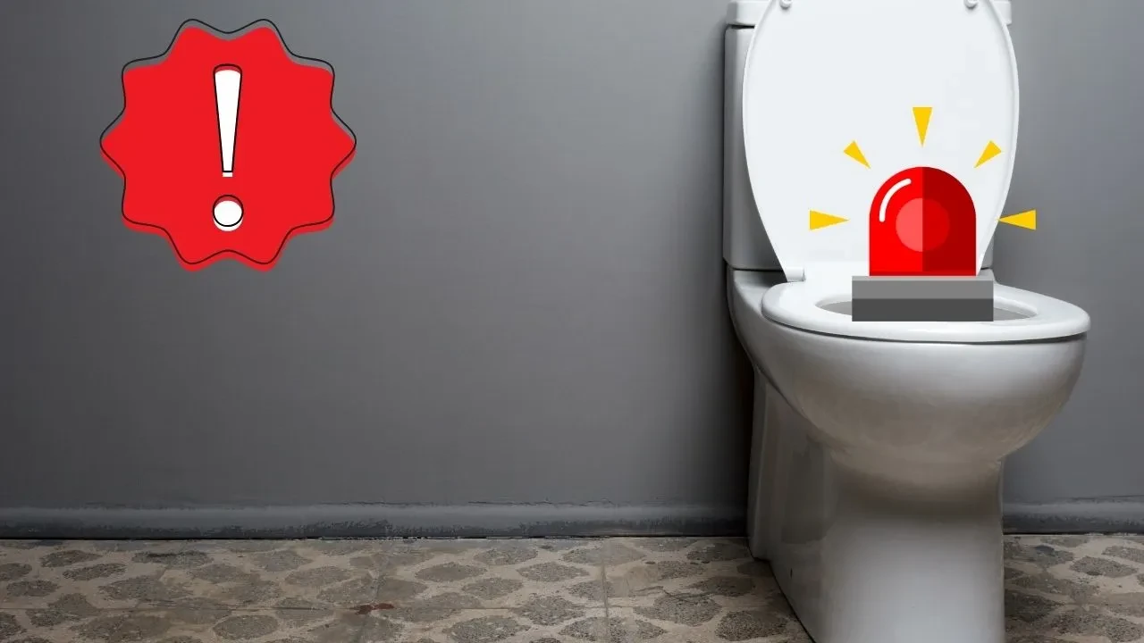 Klozeti kapatmadan sifonu çekenler dikkat! Banyodaki görünmez tehlike