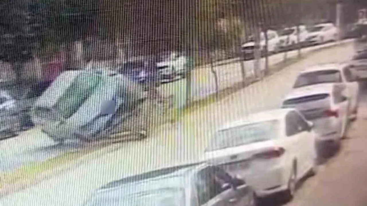 Ağaca çarpıp takla attı! O anlar kamerada
