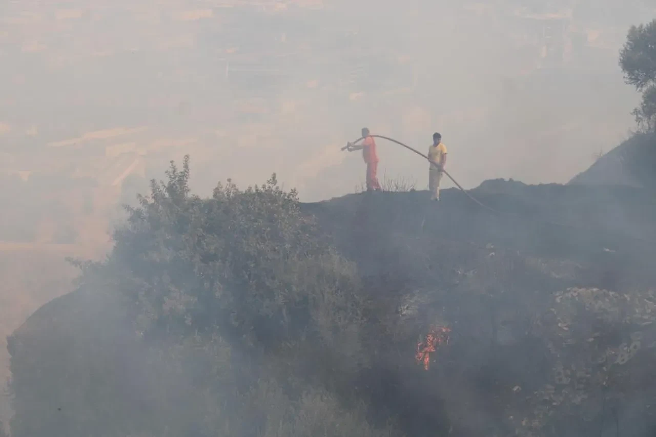 Aydın Valiliği yasağı duyurdu: 5 ay boyunca sürecek!