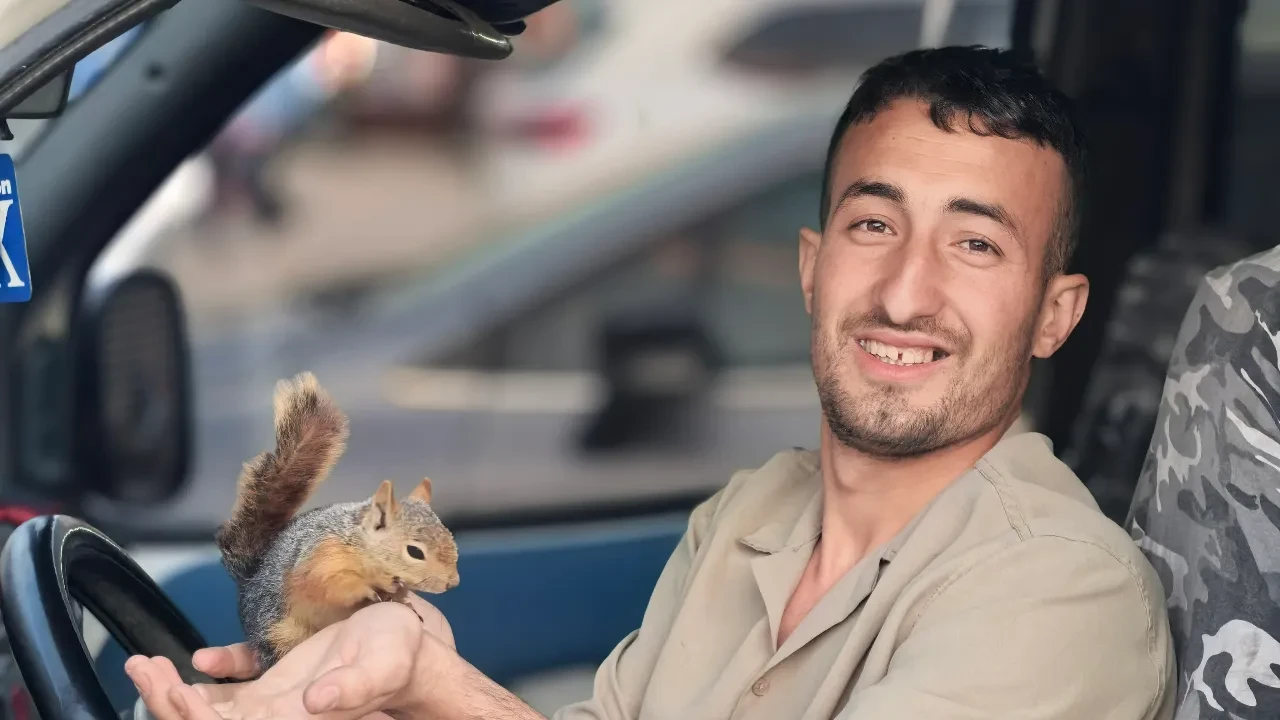 Beslediği sincap peşini bırakmadı! İnşaatta çalışmaya başladı: İşte içleri ısındıran görüntüler