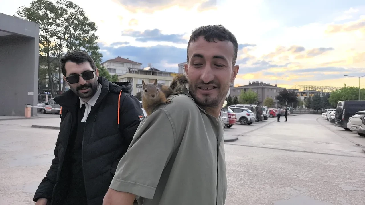 Beslediği sincap peşini bırakmadı! İnşaatta çalışmaya başladı: İşte içleri ısındıran görüntüler