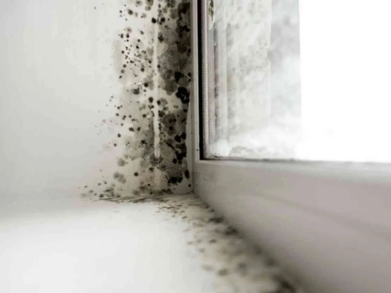 Ciğerlere kadar inebilir diyerek kritik uyarıyı yaptı! Mantar enfeksiyonu