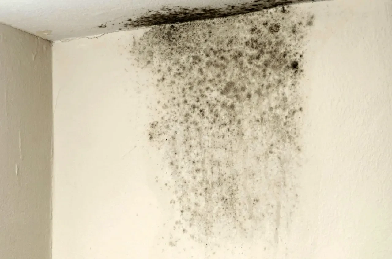 Ciğerlere kadar inebilir diyerek kritik uyarıyı yaptı! Mantar enfeksiyonu