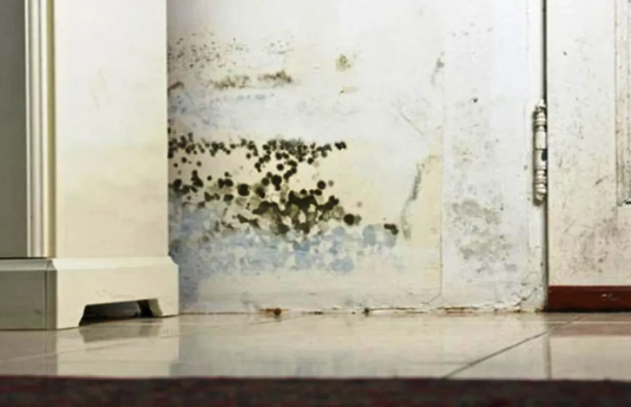 Ciğerlere kadar inebilir diyerek kritik uyarıyı yaptı! Mantar enfeksiyonu