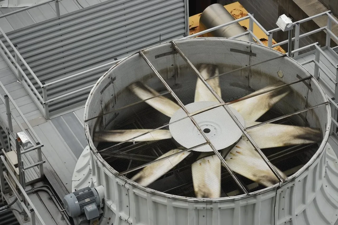 Dolgun maaş veriyor, üniversite diploması istemiyor! Bu geleceğin mesleğine yapay zeka bile dokunamayacak