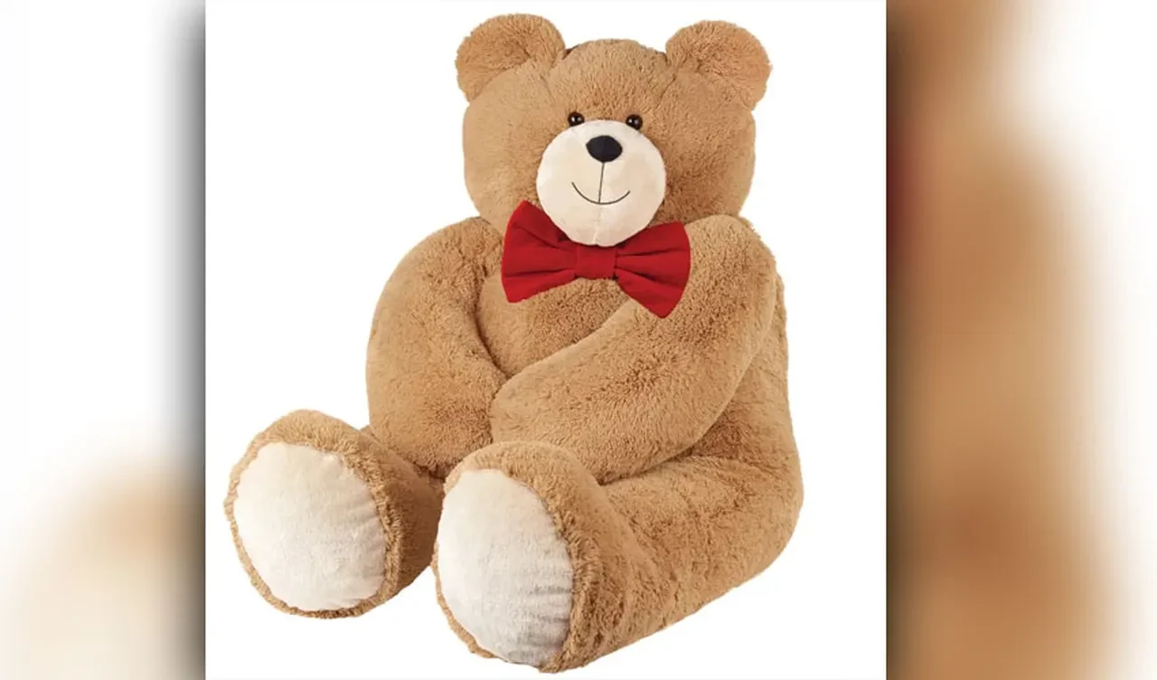 Oyuncak ayının içinden çıkan paralar şoke etti! Polis baskınında her şey ortaya çıktı