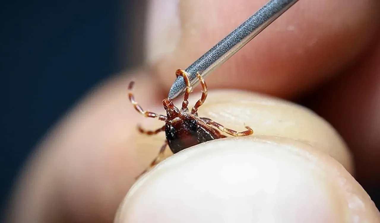 Sivas'ta kene kabusu! Genç kadın hayatını kaybetti