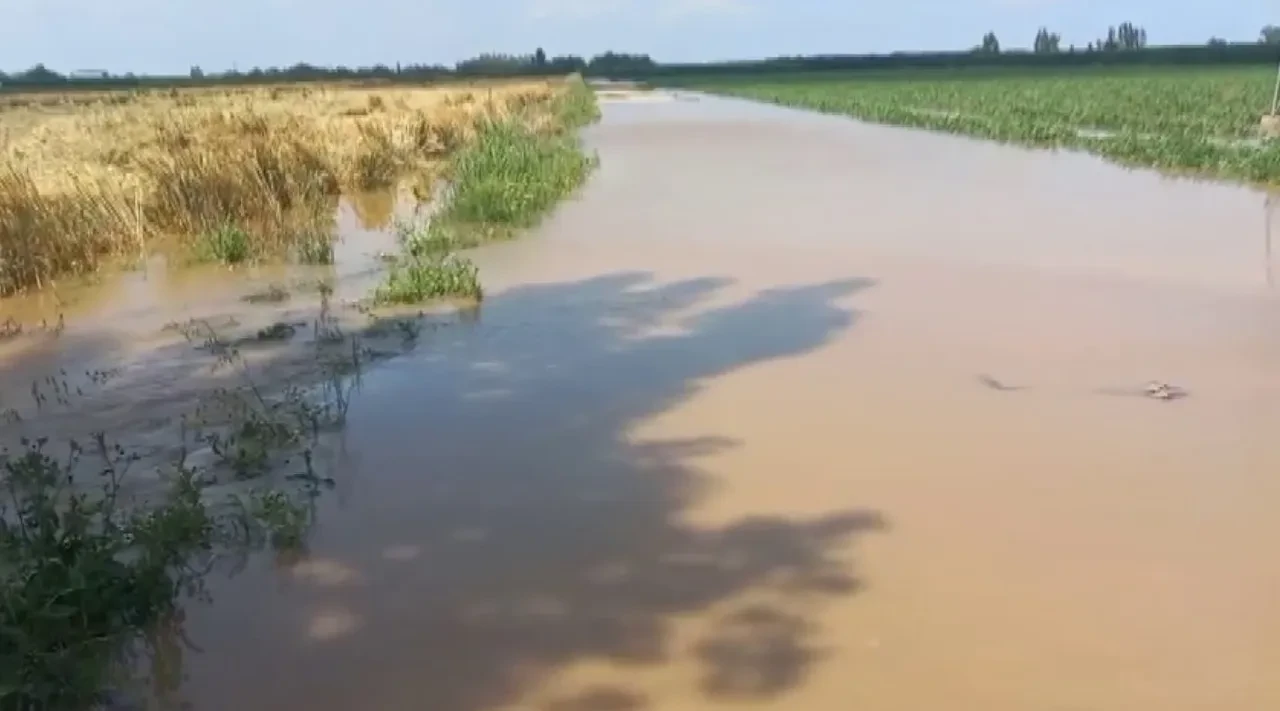 Tarım arazileri zarar gördü! Mısır, buğday ve salatalığı sağanak ve dolu vurdu!