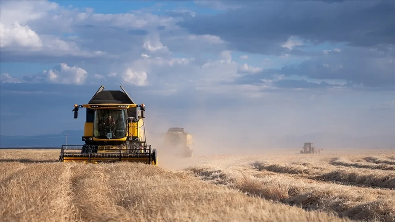 Bakan Yumaklı duyurdu! Destek ödemesi bugün hesaplara yatacak: Hesaplarınızı kontrol edin