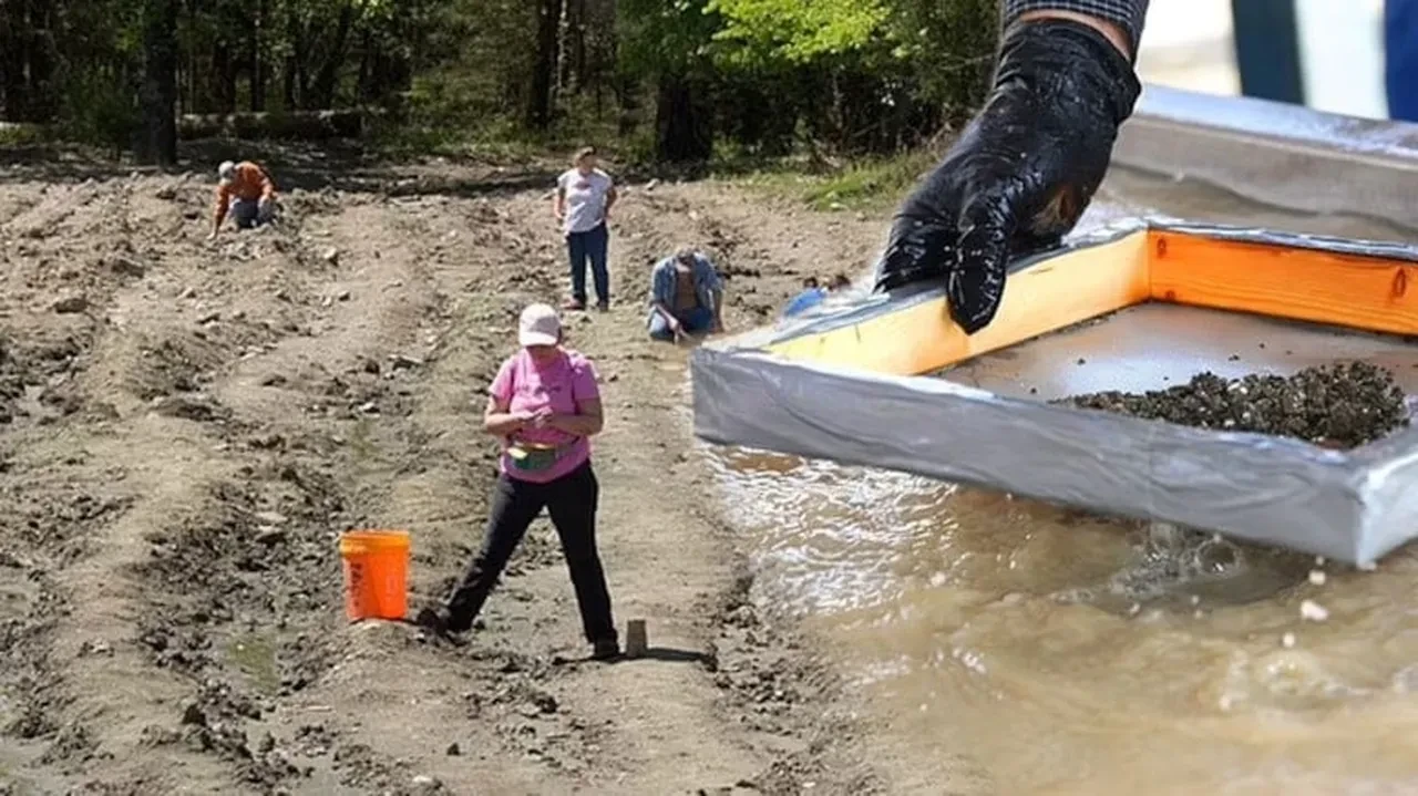 Bu parka giren zengin çıkabiliyor: Elmas bulanın oluyor, başka değerli taşlar da var