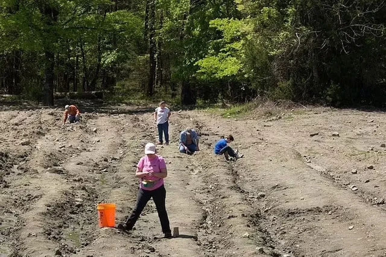 Elmas bulanın cebine kalıyor! Halka açık arama alanında 2,79 karatlık inanılmaz hazine