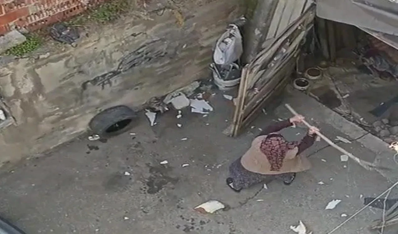 Eline aldığı kürekle dehşet saçtı! Komşuna saldırıp garaj kapısını parçaladı