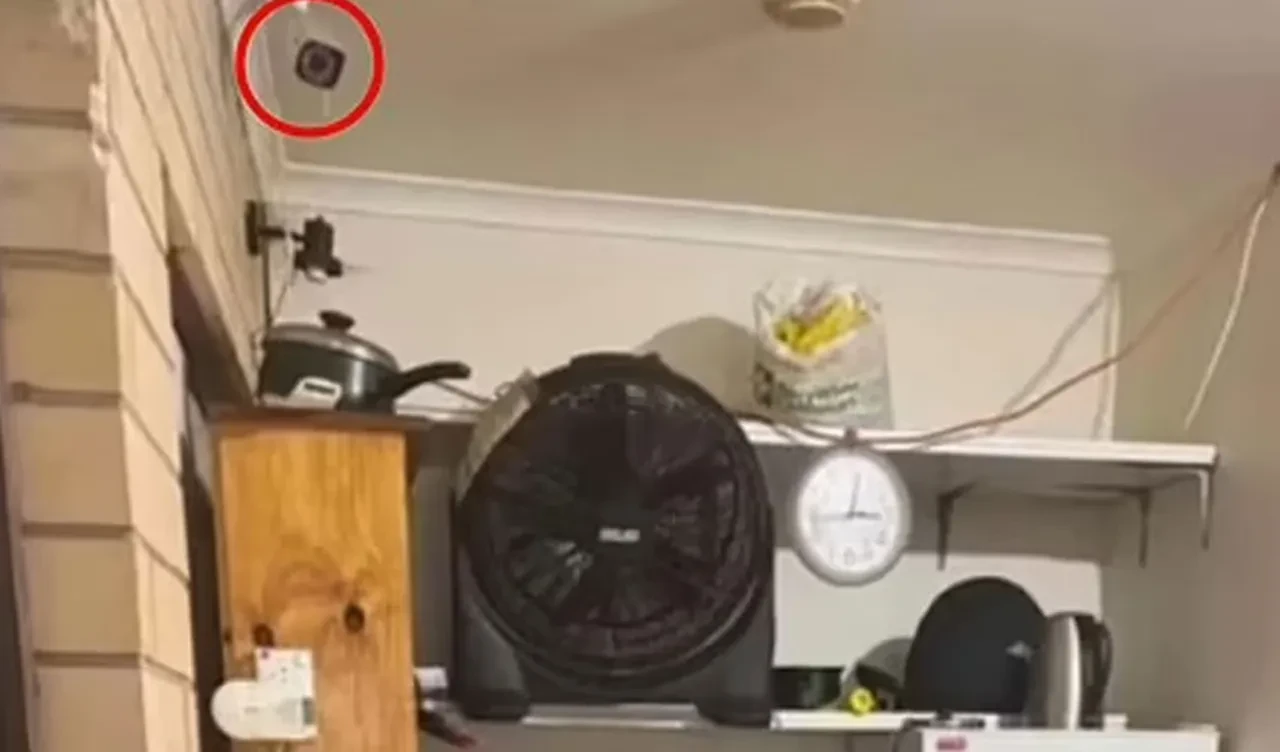 Ev sahibinin talimatları interneti ayağa kaldırdı: 'Lütfen sırtınızı duvara yaslayın'