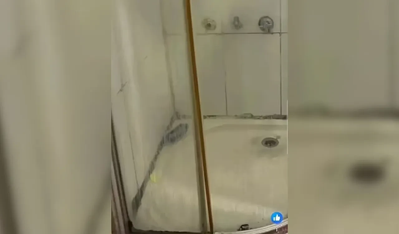 Ev sahibinin talimatları interneti ayağa kaldırdı: 'Lütfen sırtınızı duvara yaslayın'