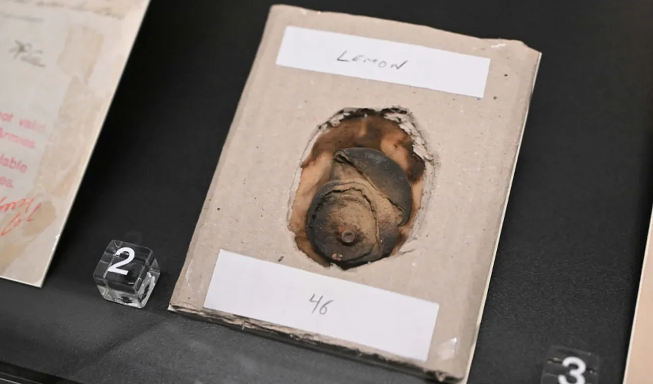 İstihbarat servisi kapılarını halka açtı! 100 yıllık operasyonlar gün yüzüne çıktı