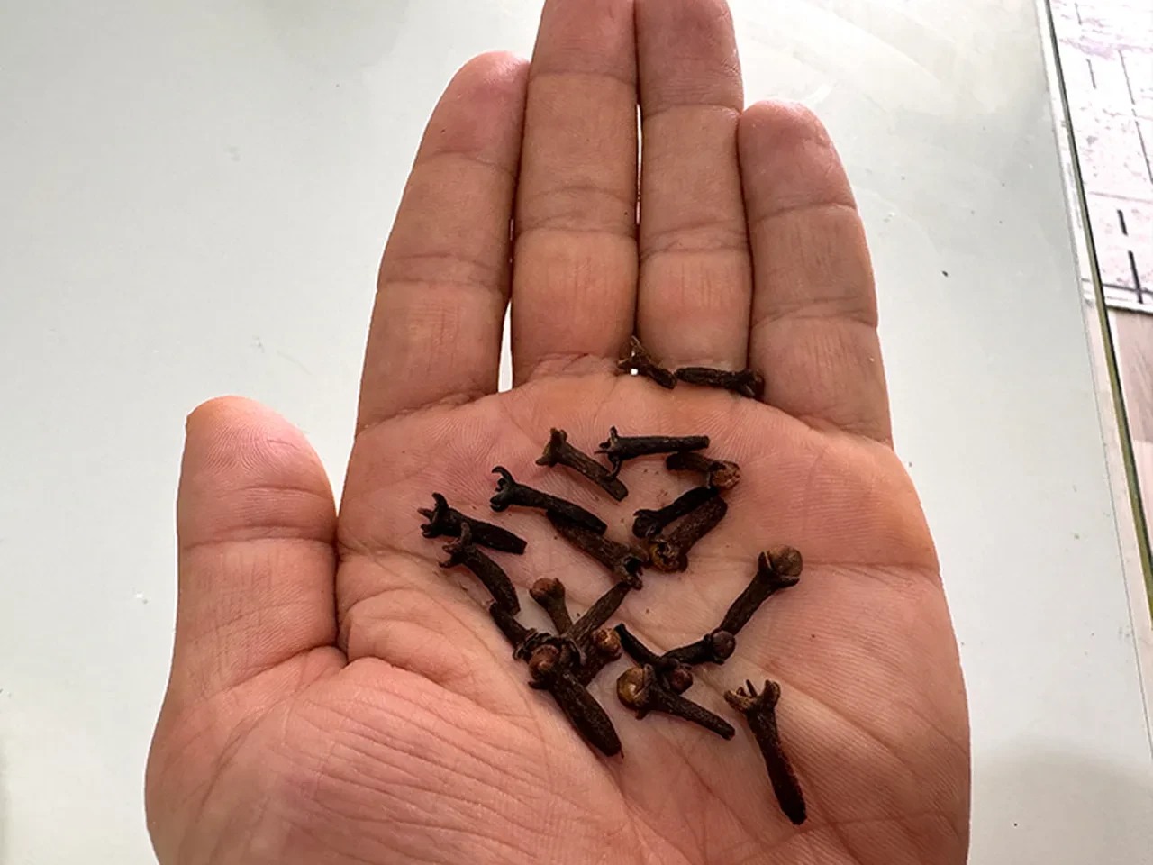 Kendisi küçük faydası büyük! Yüzyıllardır kullanılma nedeni ortaya çıktı