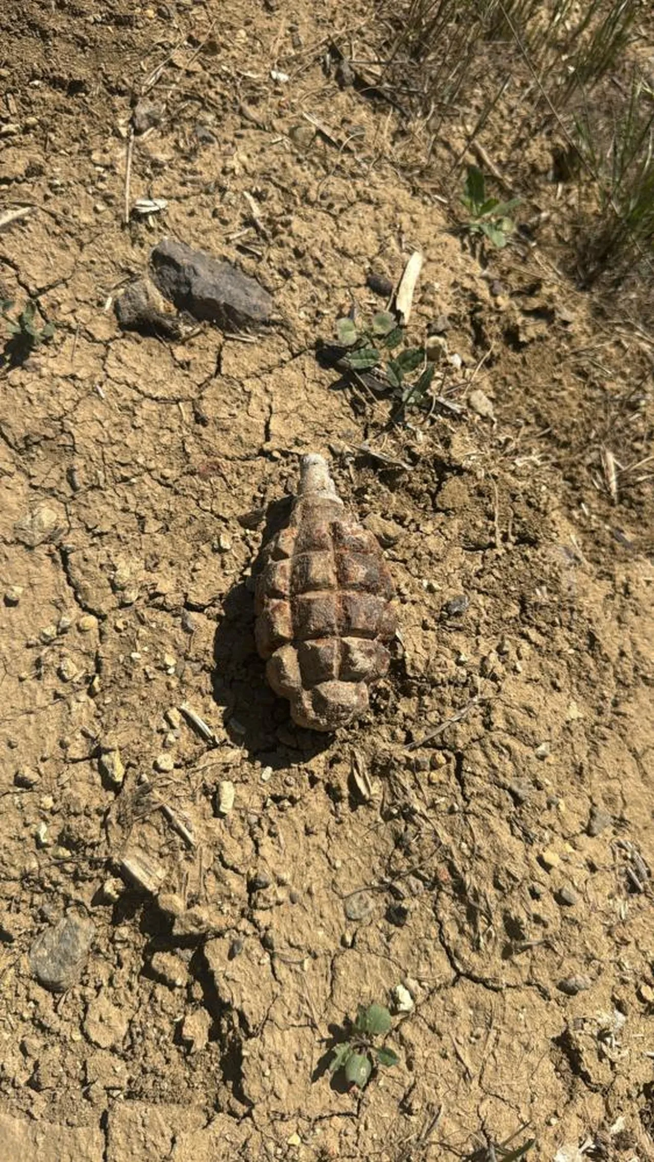 Yüzyıllık savaş kalıntısı soğan tarlasından çıktı: Sakarya Meydan Muharebesi’ni işaret ediyor!