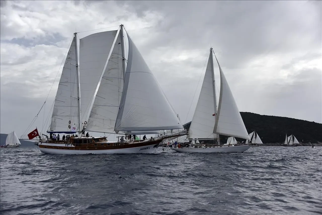 8 yaşındaki çocuk oyun oynarken 169 yıllık gemi enkazı buldu! Asırlık batığın gizemi gazete sayfasında ortaya çıktı