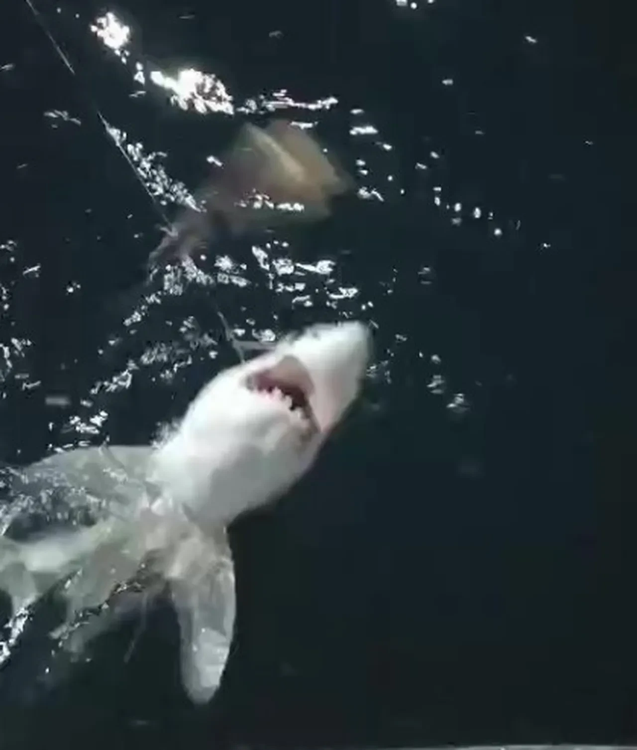 Arkadaşına nispet yaptı, sosyal medyayı salladı! ‘Çağırdığın kızlar neredeler Osman'