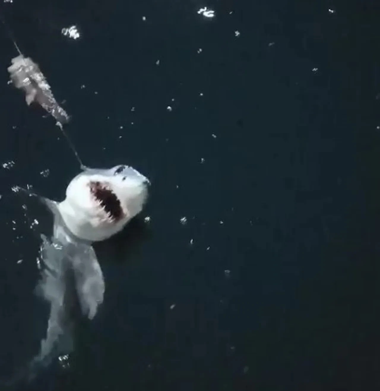 Arkadaşına nispet yaptı, sosyal medyayı salladı! ‘Çağırdığın kızlar neredeler Osman'