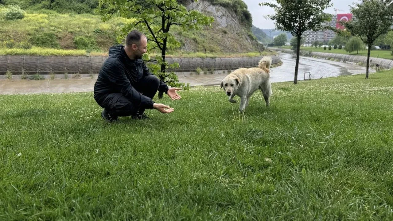 Bankada mahsur kalan köpek ortalığı karıştırdı! Alarm çaldı, herkes hırsız sandı