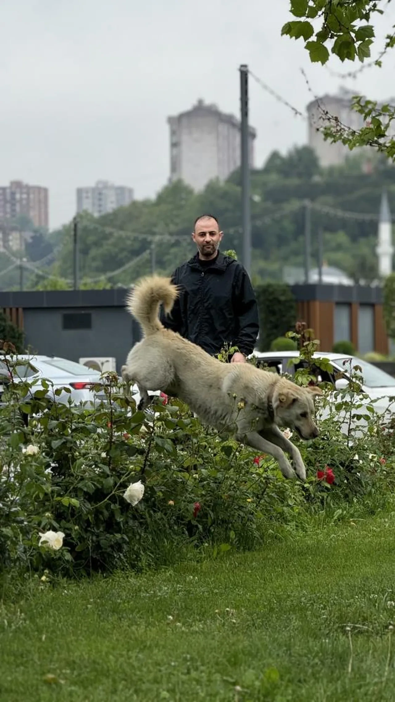 Bankada mahsur kalan köpek ortalığı karıştırdı! Alarm çaldı, herkes hırsız sandı