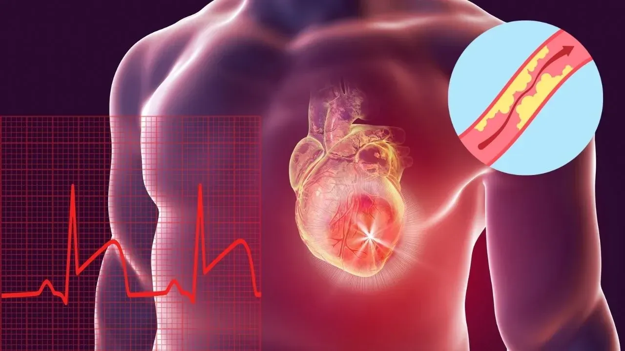 Doktorlar hastalıklardan korunmak için her gece içiyor! Dünyanın en güçlü ilacı