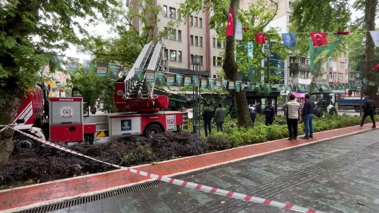 Facia teğet geçti! Dev ağaç kafenin üzerine devrildi