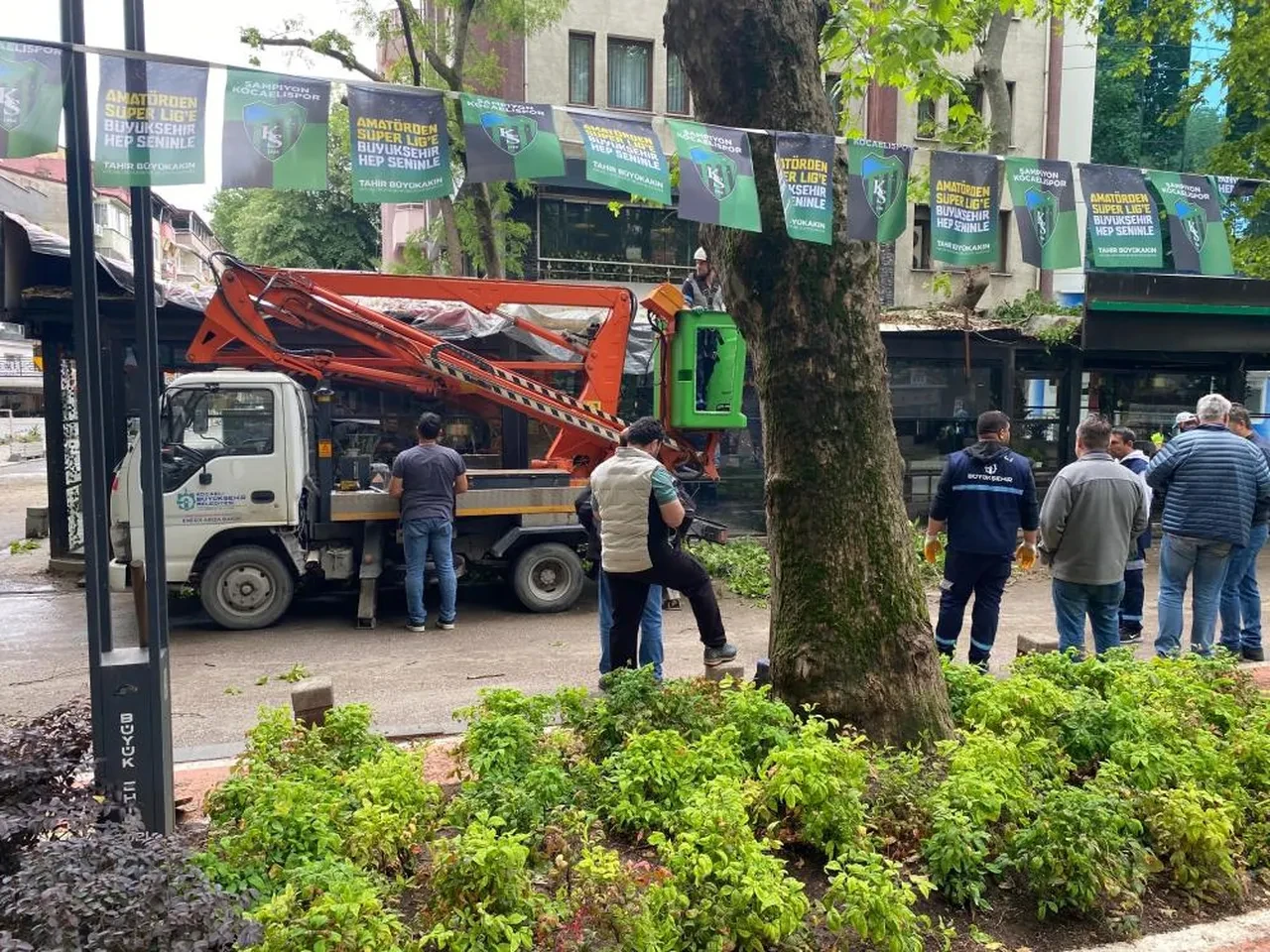 Facia teğet geçti! Dev ağaç kafenin üzerine devrildi