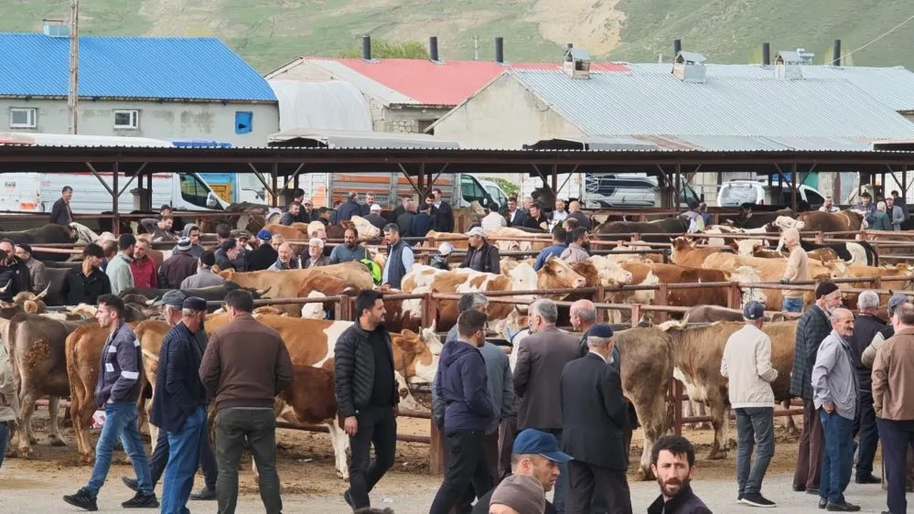 Görücüye çıkan kurbanlıklara yaklaşan yok! Fiyatlar cep yakıyor