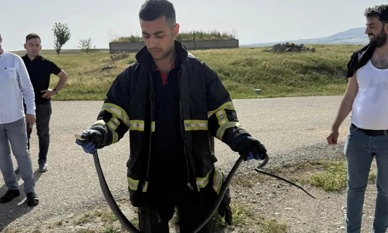 Tavan arasına giren yılan korkuttu