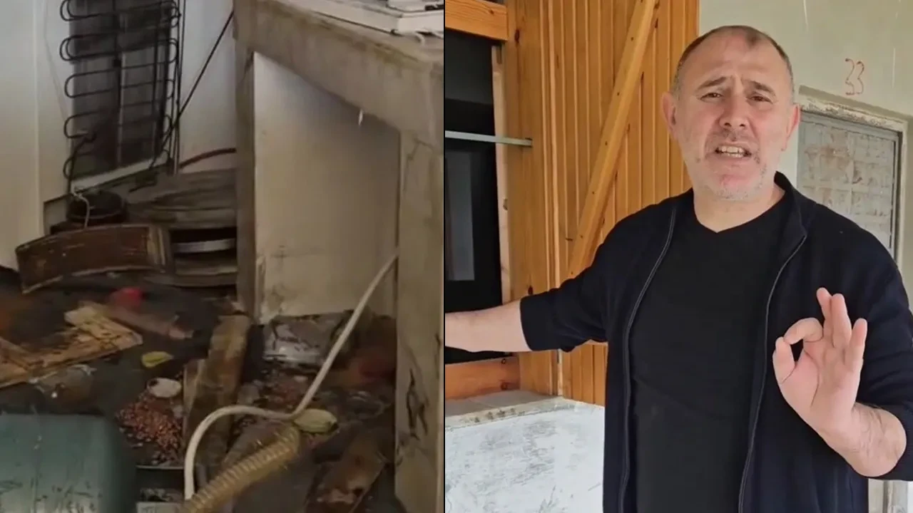 Ayılar belediye başkanının evini paramparça etti! Şoke eden görüntüler